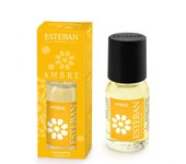 Concentrado Difusor ESTEBAN PARIS Ambre Difusor Casa