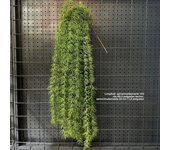 1PC Artificial Hanging Green Plants Fake Rattan Wall Hanging Plastic Vine for Home Garden Restaurant Decoration Soft Landscaping