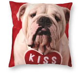 Home Pillowcase Office Decor Cushion Cover English Bulldog Print Pattern