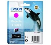 Cartucho magenta vivo sc-p600