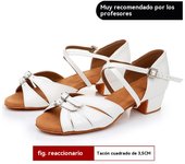 2025 Nuevos Zapatos De Baile Latino, Suela Blanda Tacón Bajo Zapatos De Baile Para Niñas, Concurso De Baile Latino Zapatos De Baile Para Niñas, Zapatos Latinos Para Niños