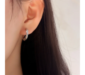 Delicate Leaf Ear Ring with Shiny CZ for Women Silver Color/Gold Color Fashion Hoop Earrings Fancy Girl Gift 2024 Jewelry Gifts