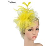 Flower Feathers Hair Clip Fascinator Hat for Women Tea Party Headband Wedding Cocktail Mesh Alice Headband Clip