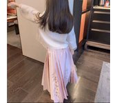 Girls' 2025 Spring High end Embroidered Hanfu Ma Mian Skirt Set Children's Style New Chinese Dress