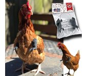 "Disfraz Divertido para Mascotas - Brazos de Pollo Decorativos, Accesorio Gracioso para Perros/Gatos, Disfraz de Dinosaurio Estilo Pollo, Juguete Viral para Fotos, Regalo Original Carnaval/Halloween – Envío Rápido Miravia"