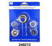 Airless Sprayer Pump Repair Kit 244194 248212 248213 249123 For 390/395/495/595/3400/695/795/3900/7900/200/300/5900/1095/Max V