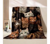 Cute Cartoon Cat Printed Believer Blanket Warm Soft and Comfortable Home Travel Office Sofa Blanket Play Mat