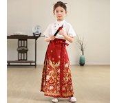 New horse faced Hanfu set for girls, Chinese Ming children's ancient Tang style daily spring and summer