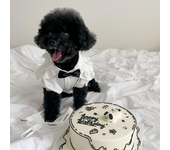 2024 New Style Dog Clothes Summer Luxury Pet Plaid Striped Suspender Skirt Hat Vest Set Puppy Dress Dog Costume