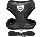 Arnés ajustable para perros pequeños y gatos, conjunto de Correa y chaleco transpirable para Pug, Chihuahua, Bulldog, accesorios