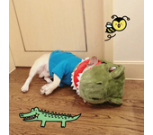 Hat for Dog Dogs Accessories Costume French Bulldog Clothes Golden Retriever Puppy Apparel Pet Party Cosplay dinosaur Helmet