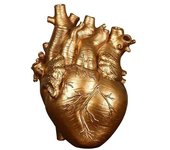 Heart Personalised Sculpture Collectible Planter Home Decorative Vase School Teaching Tools Anatomical Designs