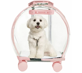 Pet Trolley Suitcase Carrier Transparent Beauty Case Trolley Professiona Portable Durable Carrier for Cats and Small Dogs