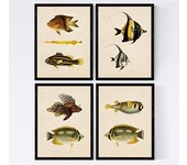 Nacnic - Set de 4 Láminas de Peces Coloridos Efecto Vintage - Java - Composición de 9 Peces Diferentes - Fondo Papel Antiguo Vintage