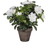 Azalea Artificial Blanca en Tiesto Gris 11,5x27cm