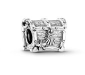Charm Pandora  799432C00