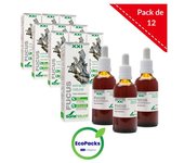 Soria Natural EcoPack 12 Extracto De Fucus 50 ml