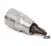 Cofan Llave de Vaso 3/8 con Punta PH-1 - Alta Calidad