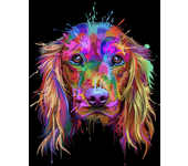 Multicolor Graffiti Dog Head Posters and Pictures Modern Wall Art Canvas Painting Golden Retriever Labrador Bulldog Home Decor