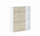 Skraut Home - Zapatero - Armario para zapatos y botas - Recibidor - Entrada - organizador de zapatos - Muebles para almacenamiento - 90x26x102cm - Cajones abatibles - Capacidad para 12 Pares de Zapatos - Varias combinaciones de colores disponibles