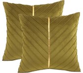 2Pcs Velvet Throw Pillow Covers 18x18 Pack of 2 with Gold Leather Decorative Couch Pillowcase Luxury Modern Pillow Covers