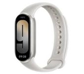 Xiaomi Smart Band 9 Wristband Activity Tracker titan gray