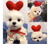 Cute Fruit Dog Clothes for Small Dogs hoodies Warm Fleece Pet Clothing Puppy Cat Costume Coat for French Chihuahua Jacket Suit