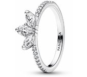 Anillo Pandora Herbario Brillante