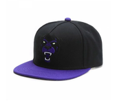 Brand FASTBALL CAP Luxury Embroidery Hiphop Cap Snapback Hat Baseball Caps for Men Women Outdoor Adult SunHat Bone Gorras Hombr