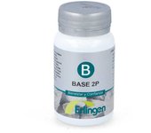 Base 2P 60 Comp Metab.Pulmonar       Erlingen..