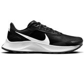 Nike Pegasus Trail 3