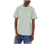 Camiseta classic mini dual palm Vans