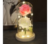 Two Roses Beauty And The Beast Red Rose In A Glass Dome On A Wooden Base Rose Lamp For Valentine's Day Christmas Gift Home Decor