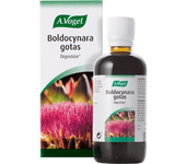 BOLDOCYNARA gotas 100 ML - A.VOGEL