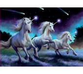Puzzle 1000 piezas Unicornios (Anne Stokes) (Educa 19919)