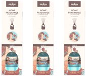 PRADY Lote de 3 unidades Ambientadores Mikado de 100 ml Ambientador PARIS