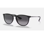 Ray Ban Erika 4171 - Diferentes colores de molduras y lentes