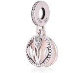Pandora Mujer Plata Abalorio 797825CZ, Viene con El embalaje de Caja de Giunte original.