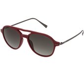 Gafas de Sol Sting Hombre SST006532GHM - Protección UV - Diseño Moderno - Montura Roja - Lentes Ahumados - Medidas 53/18/140