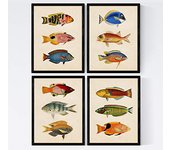 Nacnic - Set de 4 Láminas de Peces Coloridos - Efecto Vintage - Báltico - Composición de 12 Peces Diferentes - Fondo Papel Antiguo Vintage - Marcos de Fotos y Arte de Pared