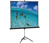 Approx APPP180T Pantalla de proyección - Pantalla para proyector (Manual, 180 cm, 180 cm, Negro, Blanco)