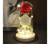 Two Roses Beauty And The Beast Red Rose In A Glass Dome On A Wooden Base Rose Lamp For Valentine's Day Christmas Gift Home Decor