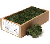 Musgo de Reno Verde Oscuro para decoración - 500gr.