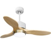 Ventilador de techo