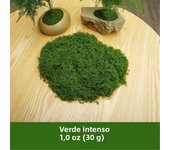 30/50/100g Mini Landscape Fake Grass Eternal Artificial Green Moss DIY Crafts Home Living Room Garden Grass Plants Decorations