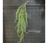 1PC Artificial Hanging Green Plants Fake Rattan Wall Hanging Plastic Vine for Home Garden Restaurant Decoration Soft Landscaping