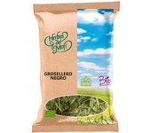 Grosellero negro hojas Eco  Herbes del Molí