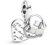 Charm Pandora  799546C01