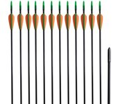 vidaXL Flechas para Arco Estándar 30" (12 unidades) Fibra de Vidrio Tiro de Polea Dimensiones 0.6 cm, 0.8 cm
