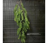 1PC Artificial Hanging Green Plants Fake Rattan Wall Hanging Plastic Vine for Home Garden Restaurant Decoration Soft Landscaping